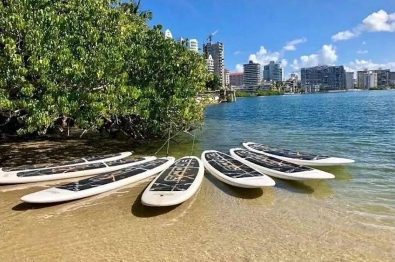 V7 Pr Rental Cozy Room & Great Location San Juan Puerto Rico